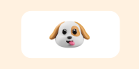 Pet Accessories